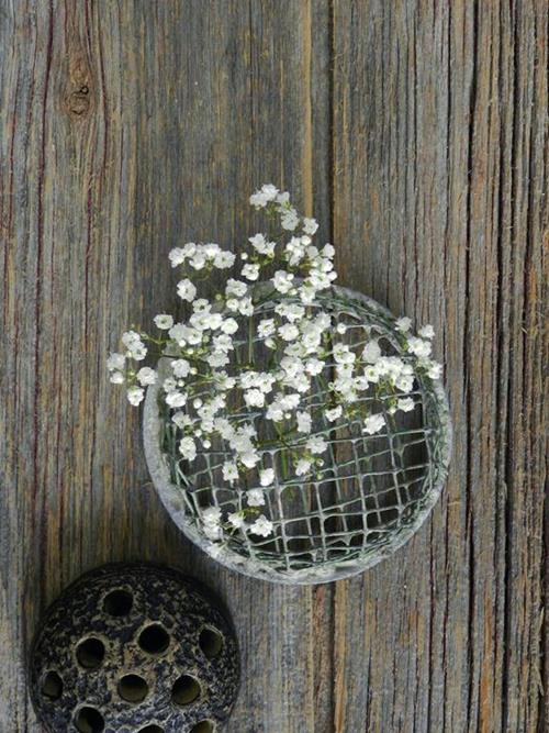 Million Stars  White Gypsophila